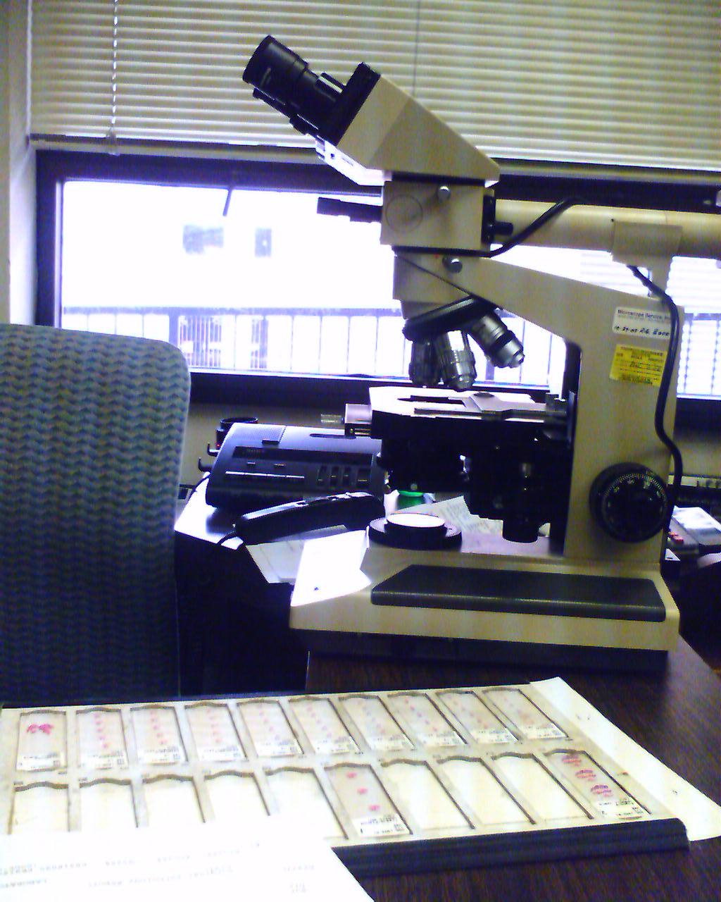 IMAGE_00108.jpg