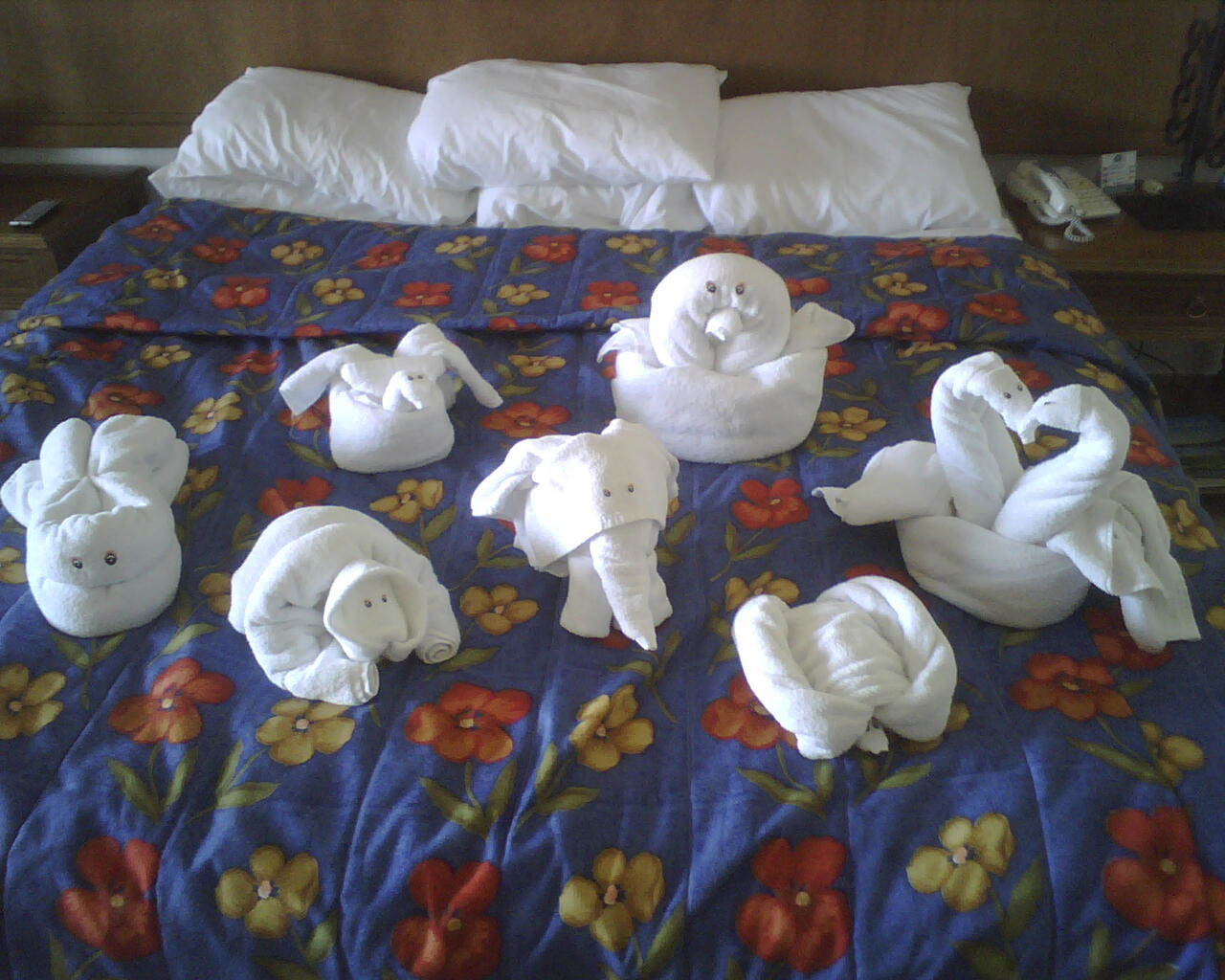 img00247.jpg img00247.jpg