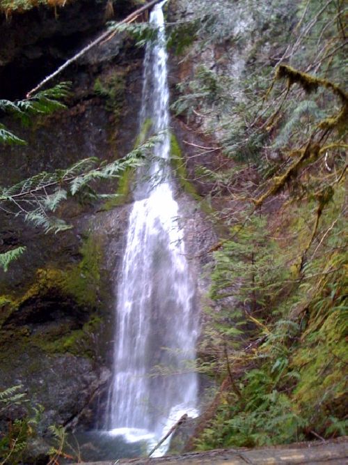 photo.jpg