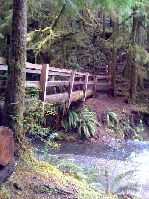 photo.jpg
