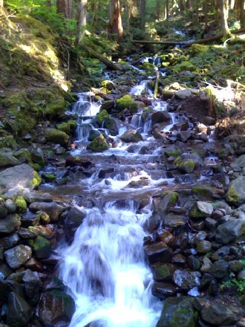 photo.jpg