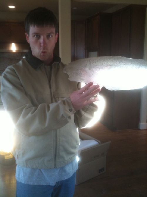 photo 2.jpg