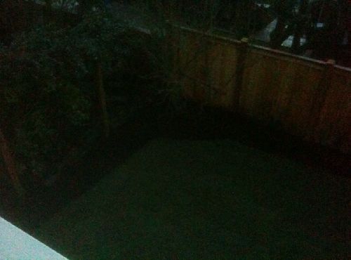 photo.jpg